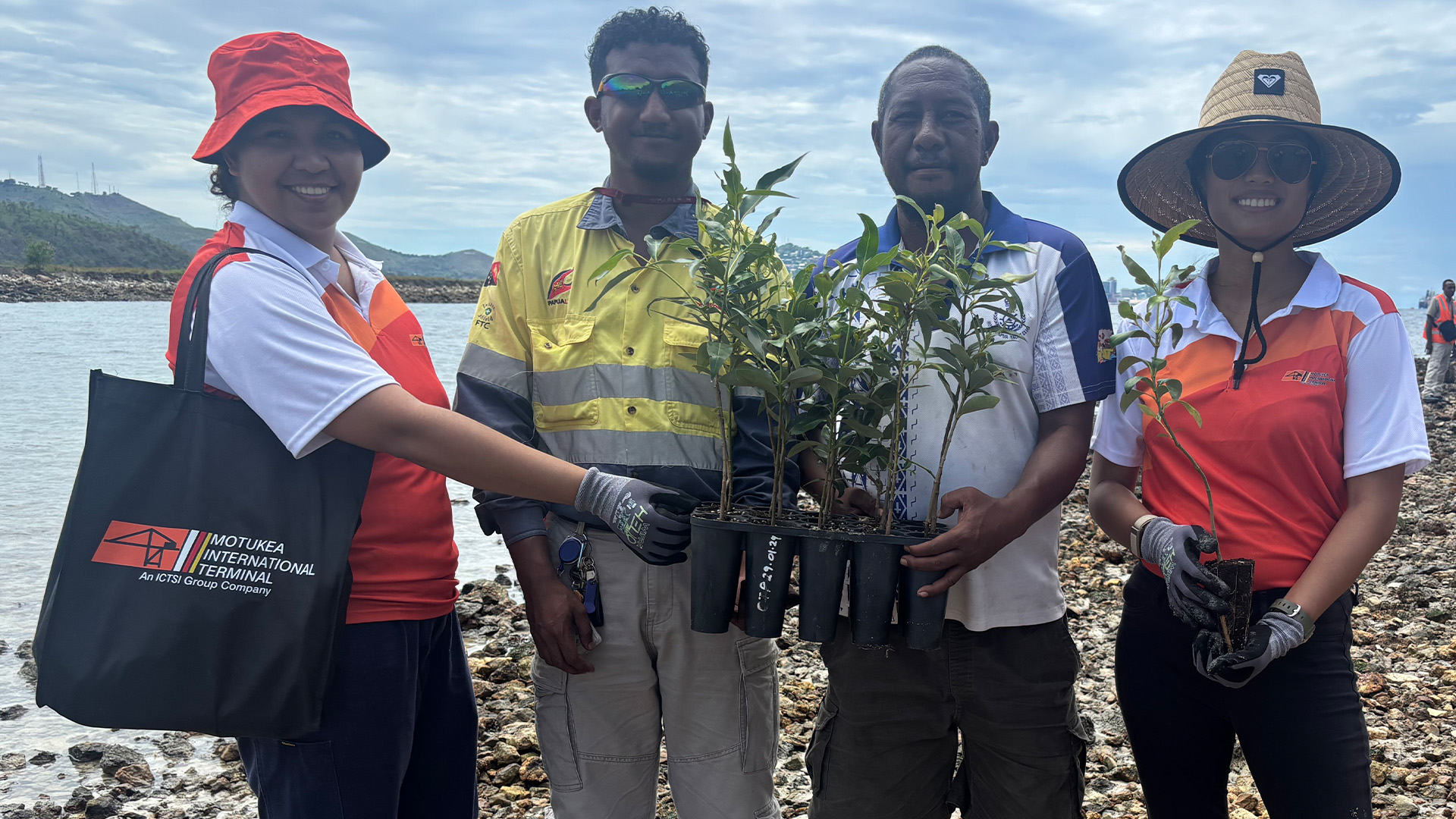 Volunteers planting mangroves