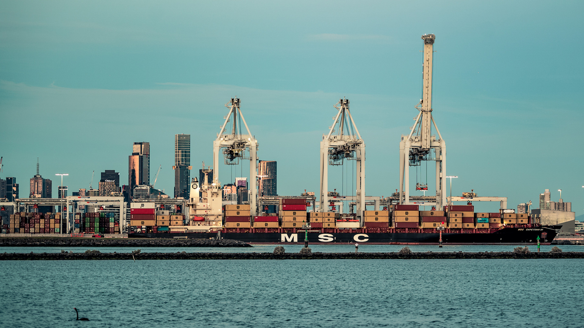 The revamped Koala service made its inaugural call to VICT last October 4 with the arrival of the MSC Capetown III.